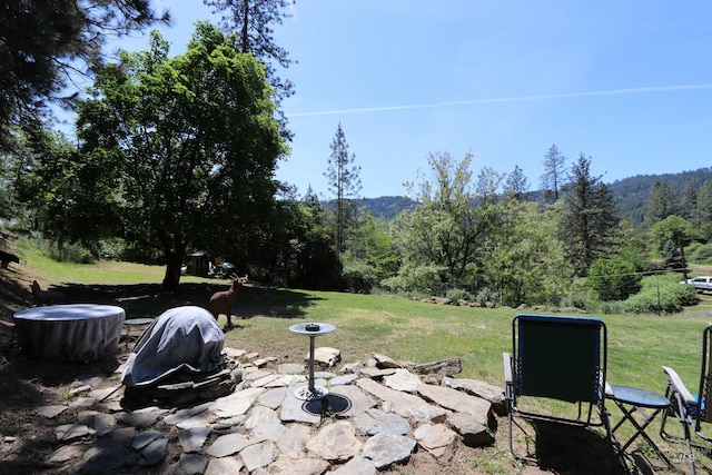 34 Locust Dr, Orofino, ID 83544 - view of green lawn featuring a view of trees