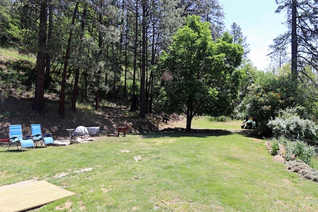 34 Locust Dr, Orofino, ID 83544 - view of grassy yard