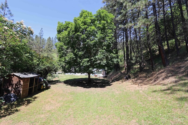 34 Locust Dr, Orofino, ID 83544 - view of green lawn