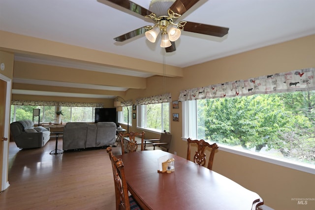 34 Locust Dr, Orofino, ID 83544 - dining room featuring wood finished floors, beam ceiling, and ceiling fan