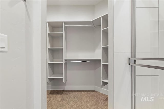 walk in closet featuring light colored carpet