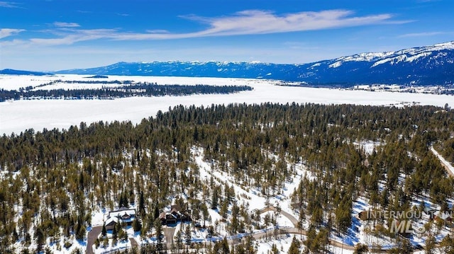 snowy aerial view with a mountain view