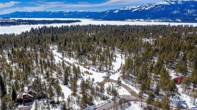 snowy aerial view featuring a mountain view