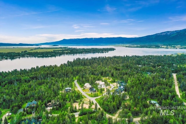 birds eye view of property featuring a water and mountain view