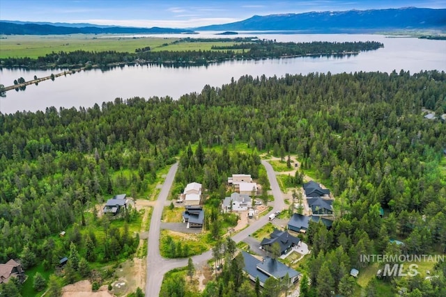 drone / aerial view with a water and mountain view