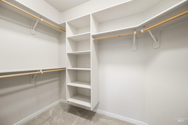 380 S Golden Eagle Ln, Eagle, ID 83616 - walk in closet featuring carpet floors