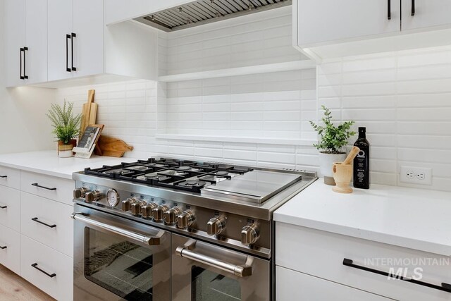 kitchen with custom exhaust hood, white cabinetry, backsplash, and high end stainless steel range