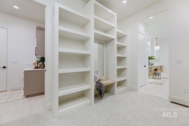 walk in closet with light carpet