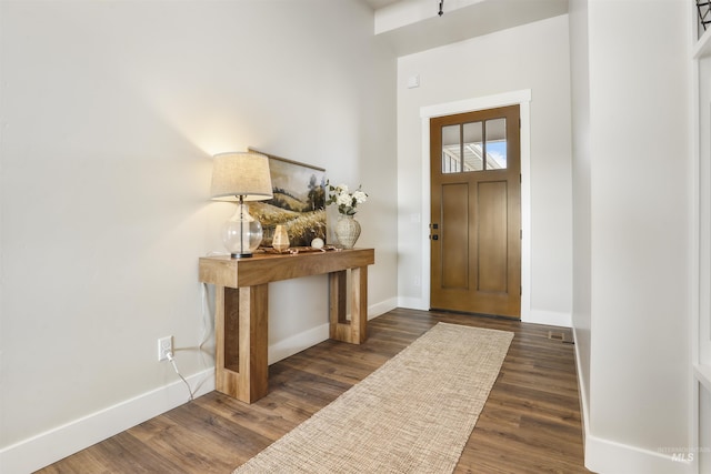 foyer entrance featuring dark wood-type flooring