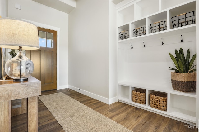 mudroom featuring dark wood-type flooring