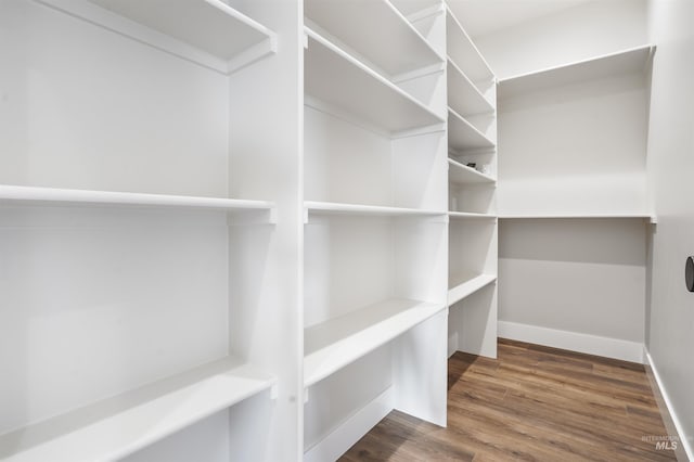 walk in closet featuring dark hardwood / wood-style flooring