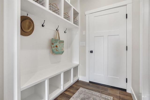 mudroom with dark hardwood / wood-style floors