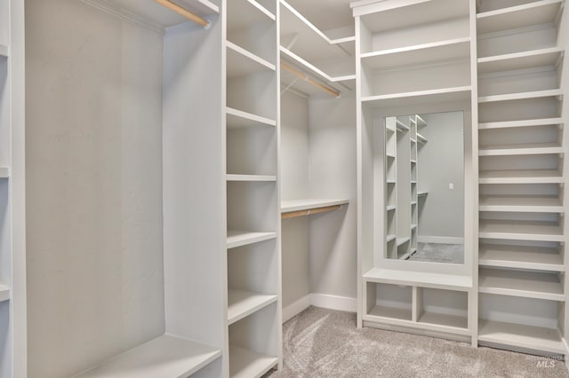 spacious closet with carpet flooring