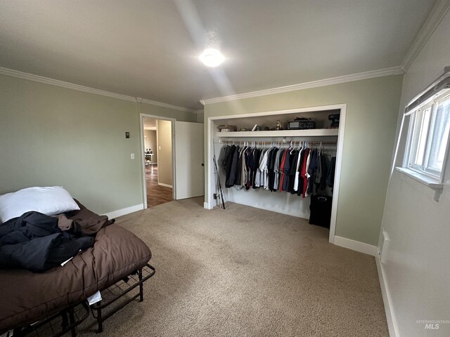 carpeted bedroom featuring a closet and ornamental molding