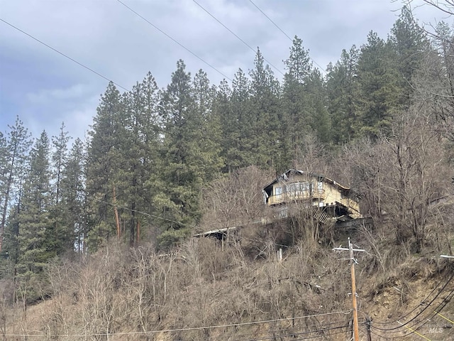 421 Dewey Ave, Orofino, ID 83544 - view of local wilderness with a wooded view