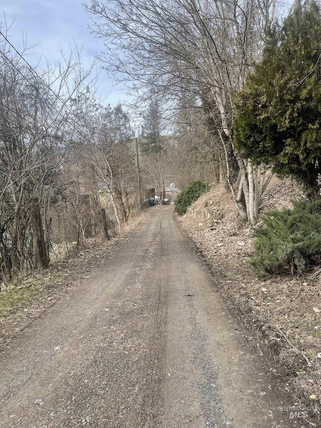 421 Dewey Ave, Orofino, ID 83544 - view of street