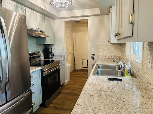 2901 Almo Ave, Burley, ID 83318 - kitchen with appliances with stainless steel finishes, under cabinet range hood, a sink, a raised ceiling, and dark wood-style floors