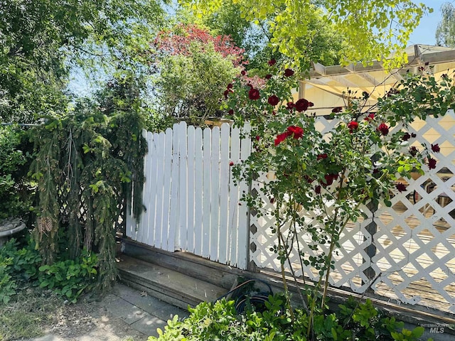 2901 Almo Ave, Burley, ID 83318 - view of gate