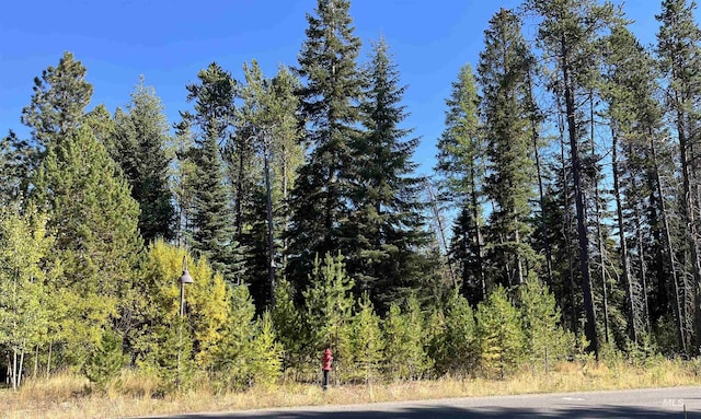 13106 Crane Shore Dr, Donnelly ID, 83615 land for sale