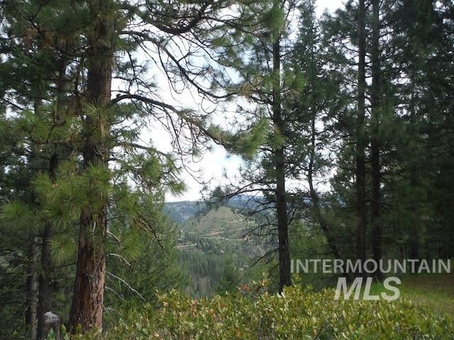 TBDLOT4 Wilderness Rdg, Boise ID, 83716 land for sale