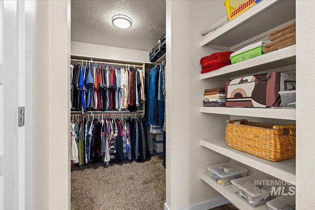 spacious closet with carpet