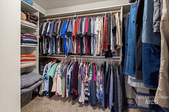 walk in closet featuring carpet flooring