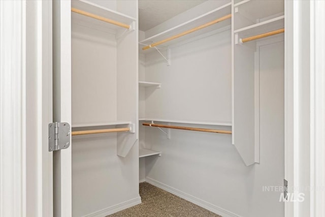 spacious closet featuring carpet