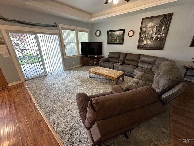 805 W Arbor Pointe Way, Nampa, ID 83686 - living room with ceiling fan, a tray ceiling, wood finished floors, and baseboards