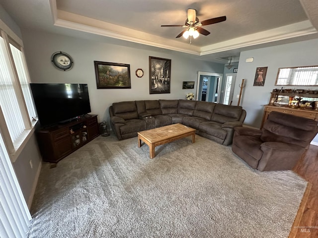 805 W Arbor Pointe Way, Nampa, ID 83686 - living area featuring a tray ceiling, ceiling fan, and carpet floors