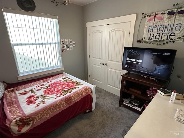 805 W Arbor Pointe Way, Nampa, ID 83686 - bedroom with a closet and carpet flooring