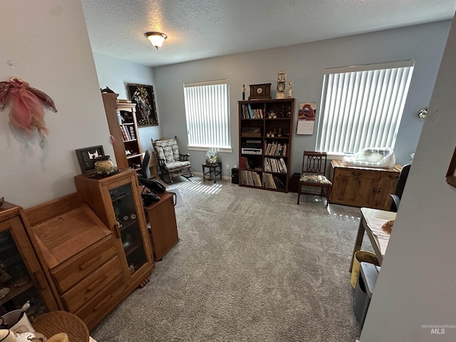 805 W Arbor Pointe Way, Nampa, ID 83686 - living area featuring a textured ceiling and carpet floors
