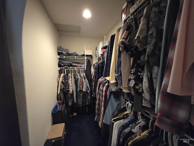1230 Ellis Ave, Orofino, ID 83544 - spacious closet featuring carpet