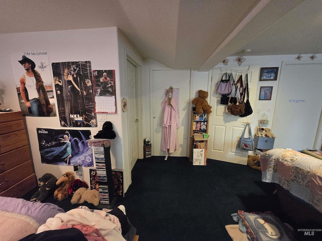 1230 Ellis Ave, Orofino, ID 83544 - view of carpeted bedroom