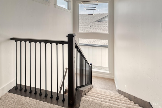 staircase featuring carpet flooring
