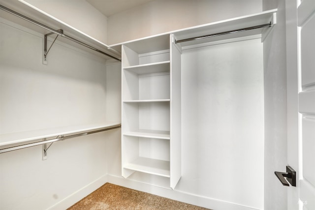 spacious closet featuring carpet floors