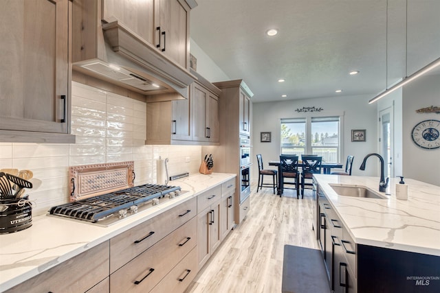 kitchen featuring decorative backsplash, premium range hood, a sink, light wood-style flooring, and appliances with stainless steel finishes