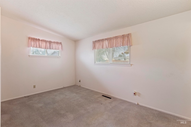 empty room with plenty of natural light, a textured ceiling, and light colored carpet