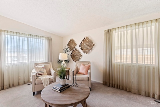 living area with vaulted ceiling, carpet floors, and a textured ceiling