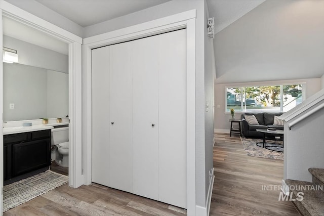 interior space with toilet, wood finished floors, and vanity
