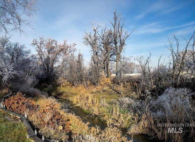 view of landscape