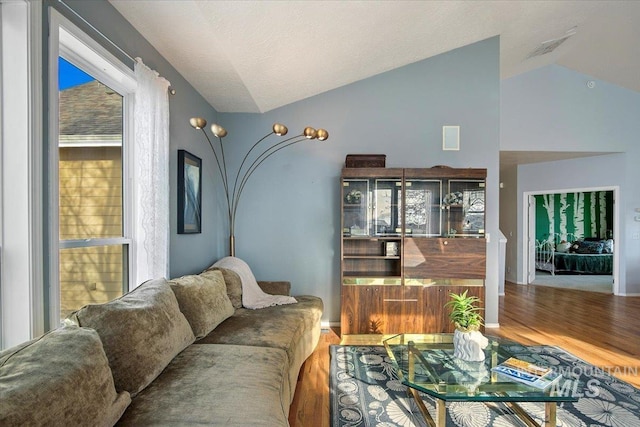 living room with hardwood / wood-style flooring and vaulted ceiling