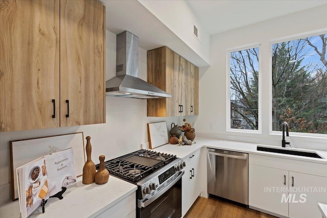 2007 S Makar Ln, Boise, ID 83706 - kitchen with stainless steel appliances, wall chimney exhaust hood, a sink, light countertops, and light wood-style floors