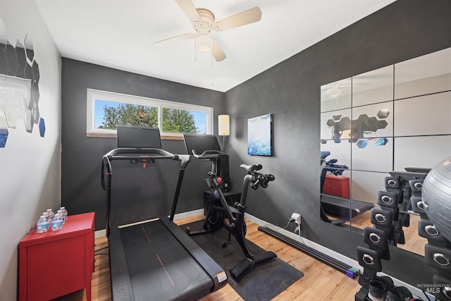 2906 W Kathryn St, Boise, ID 83705 - workout area with wood finished floors, ceiling fan, and baseboards
