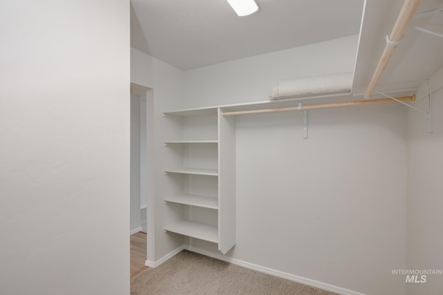 spacious closet with light carpet