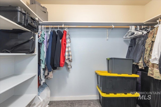 6495 S Mistyglen Ave, Boise, ID 83709 - spacious closet with carpet floors