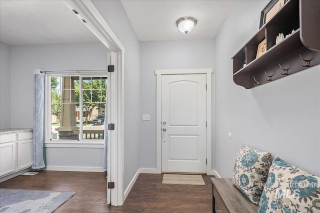 6495 S Mistyglen Ave, Boise, ID 83709 - entryway featuring dark wood-style floors and baseboards