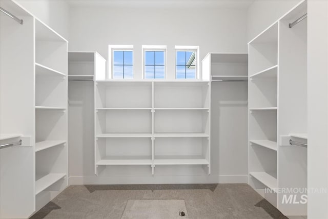 walk in closet featuring carpet flooring