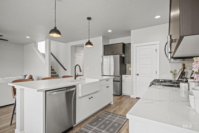 10061 W La Jolla Dr, Boise, ID 83709 - kitchen with stainless steel appliances, light wood finished floors, open floor plan, pendant lighting, and recessed lighting