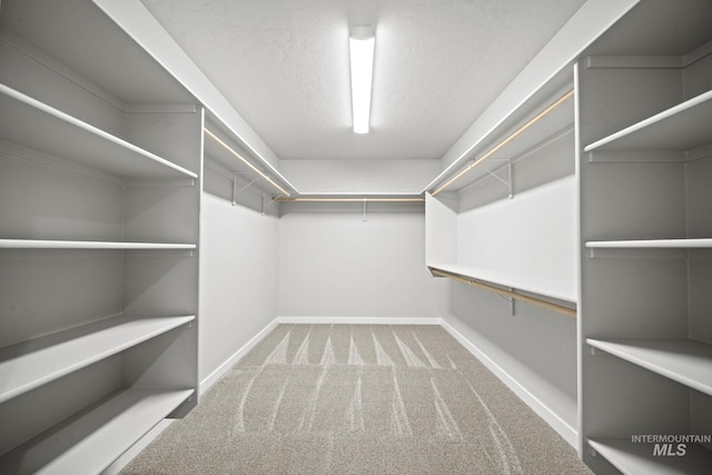 10061 W La Jolla Dr, Boise, ID 83709 - spacious closet with carpet