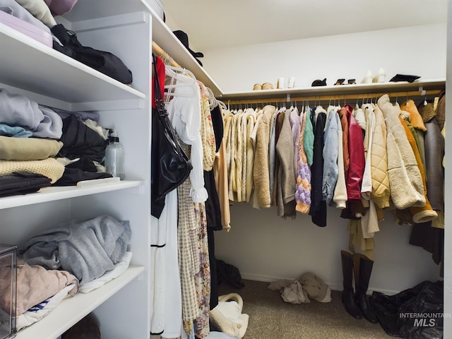 walk in closet with carpet